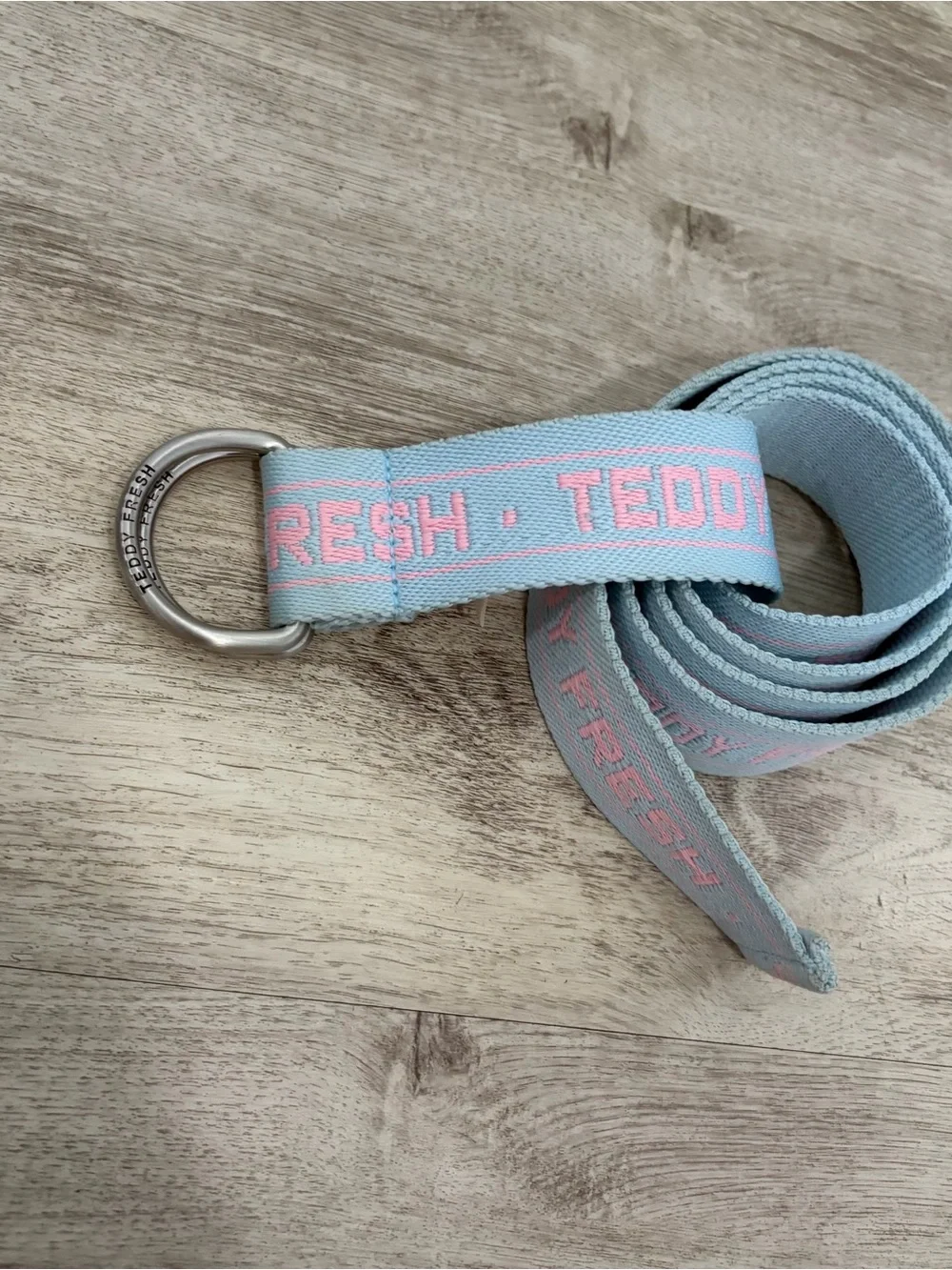 Teddy Fresh D-Ring Webbing Belt Pink Blue Embroidered Logo Streetwear 51